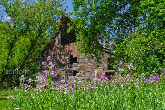 River bottom barn with wildflowers