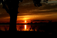 Lake Ripley Sunset
