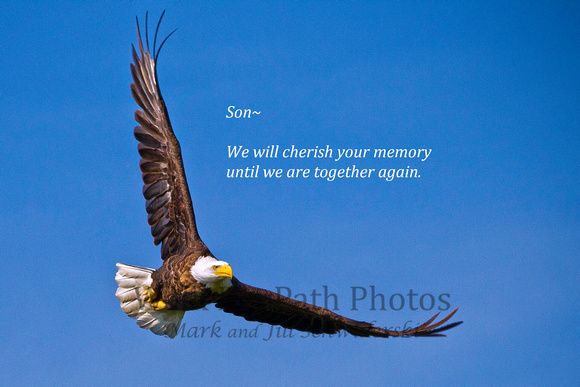 Son~We will cherish your memory