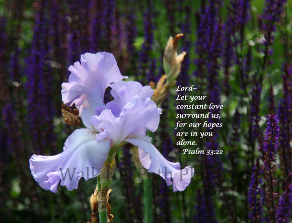 Lord, let your constant...
