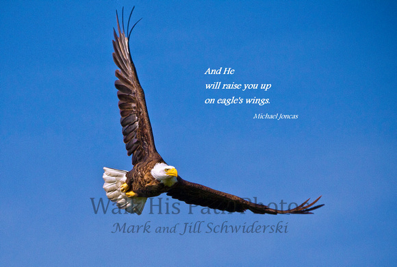 And He will raise you up on eagle's wings.