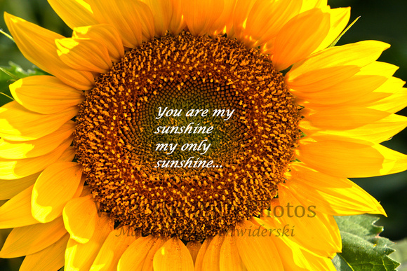 You are my sunshine..